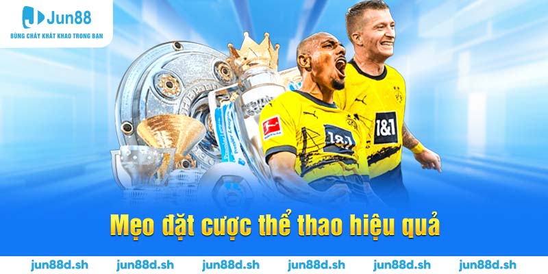 Mẹo đặt cược thể thao hiệu quả